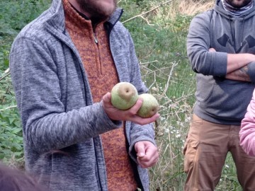 Szkolenie sadownicze w Łodzi w siedzibie OT PKWŁ 2.10.2021r. fot. KR Sosnowska, 